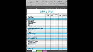  Quick Wedding Budget Guide | 14-Second Excel Walkthrough | Template for Sale