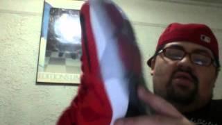 LEBRON 12 HEART OF A LION REVIEW BY: Sayitwityakickz