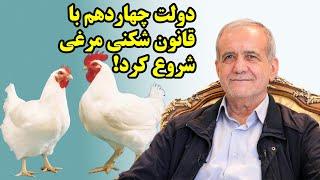 دولت چهاردهم با قانون شکنی مرغی شروع کرد!