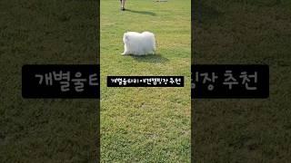 애견캠핑장 개별울타리 있는 곳 #애견캠핑장 #애견캠핑