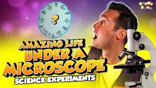 Amazing Life under a MICROSCOPE for Kids  How Does a Microscope Work  Science Experiments