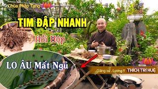 TIM ĐẬP NHANH, hồi hộp cùng MẤT NGỦ kéo dài Sẽ Khỏi với 2 Nguyên Liệu Đơn GIản - Chùa Pháp Tạng