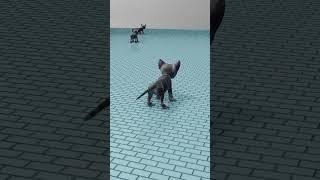 Kitten Animation Created in Blender #shorts #animals #animation