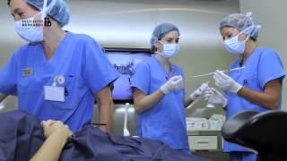 IVF PROCESS STEP BY STEP (In Vitro Fertilisation): Embryo transfer