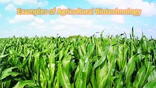 Agricultural Biotechnology--An Introduction