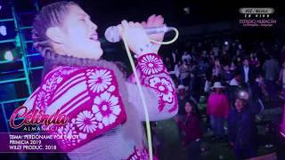 ►CELINDA ALMANACIN  ►Perdóname Por Favor ::: Willy Producciones 2018