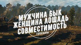 Совместимость мужчина Бык и женщина Лошадь