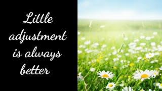Little adjustment is always better than a lengthy| Short inspiring video. #quotesthebeautiful