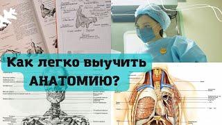 КАК СДАТЬ АНАТОМИЮ на 100 - эфир с анатомом