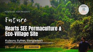 Future Hearts SEE Permaculture and Eco-village Site in Kulaura, Sylhet, Bangladesh || #permaculture