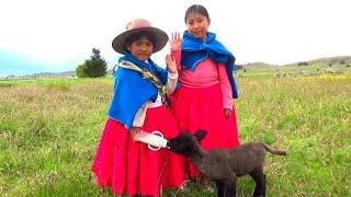 Visitando comunidad COACOLLO y JIWAWI GRANDE, Lago Titicaca de TARACO 2022, POES'IA en AYMARA