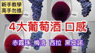 [新手教學] 四大葡萄酒 口感 | 赤霞珠 梅洛 西拉 黑皮諾 | Caberbet Sauvignon| Merlot | Shiraz Syrah | Pinot Noir | 盲品