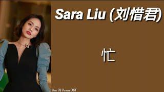 Sara Liu (刘惜君) - 忙 [Star Of Ocean OST] Pinyin Lyrics