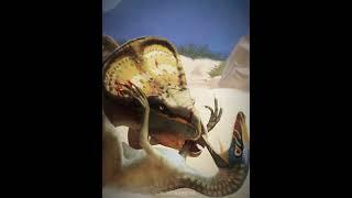 Protoceratops v. Velociraptor #dinosaur #biology #raptor #ark #jurassicpark #animals #paleontology