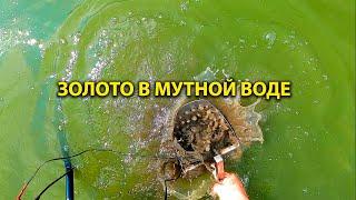 Золото в мутной воде. Поиск ювелирки на купальном месте.