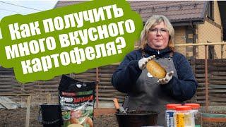 ГЛАВНЫЕ УДОБРЕНИЯ ДЛЯ КАРТОФЕЛЯ! Подкормка картофеля: что, сколько, и когда вносить