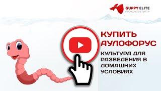 АУЛОФОРУС КУЛЬТУРА ДЛЯ РАЗВЕДЕНИЯ