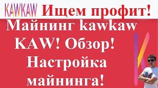 Ищем профит! Майнинг kawkaw coin (KAW)! Обзор, доходность, настройка майнинга! Перспективы!