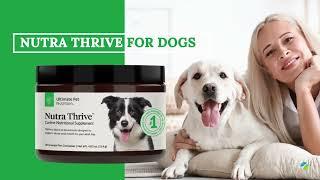 Nutra Thrive for Dogs Reviews | Ultimate Pet Nutrition