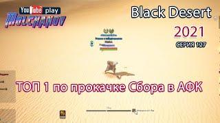 Копаем пустыню. Сбор грязи. Black Desert Фарм серебра 2021.