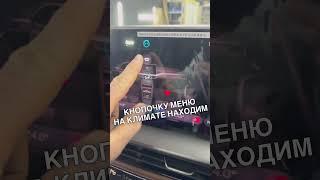 Skoda Kodiaq. Ветровое стекло с обогревом+камера ассистентов.