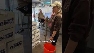 Enrichment challenge Ep 1