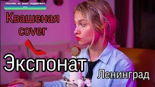 Экспонат  - Квашеная (cover Ленинград) / квашеные нарезки