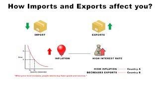 How Imports and Exports Affect You | Economics