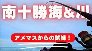 南十勝で海アメマスと河川調査の巻