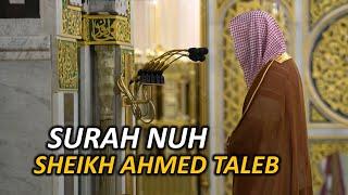 Imam of Masjid Nabawi | Sheikh Ahmed Taleb | Surah Nuh