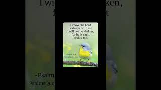 #faith #Yeshua #God #Yahweh #savior #bible #bibleverse #grace #shorts