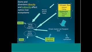 Existing and Natural Flows of the Rio Grande/Rio Bravo (Jack Schmidt and Sam Sandoval-Solis)