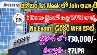 Sony Work From Home Jobs 2024 | Latest Jobs In Telugu | Jobs In Hyderabad |Work From Home Jobs 2024