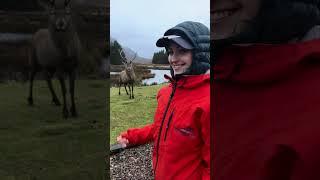 What you get on a tour around Scotland
