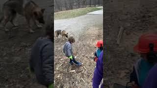 Dad Goals. #firewood #dad #family #familyvlog #kids #youtube  #youtubeshorts #skeletor