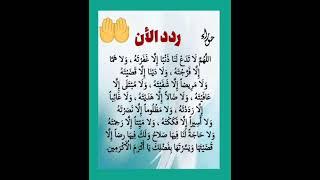 ردد الآن دعاء يجعل دعوتك مستجابه فورا ردده بكل يقين بالله  #ستوريات #حلات #تليگرام #تيك_توك #لايك