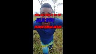 viral baju biru jadi merah  di tik tok