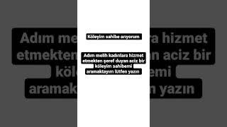 sahibe arıyorum