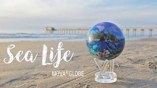 Sea Life MOVA Globe