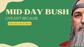 MID-DAY BUSH - Live