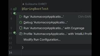 Run a unit test in IntelliJ