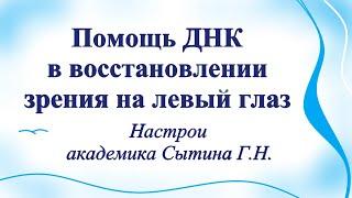 Помощь ДНК в восстановлении зрения на левый глаз Настрои академика Сытина Г.Н.