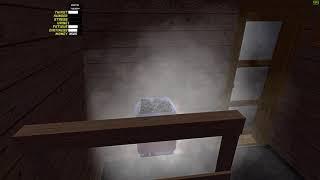 My Summer Car Sauna bug