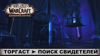 World of Warcraft: Shadowlands  ТОРГАСТ  В поисках свидетелей  Прохождение, Сюжет, Квесты, Боссы.