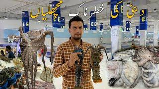 Biggest Fish Market In Dubai  | Amazing Fish Mandi | UAE Travel