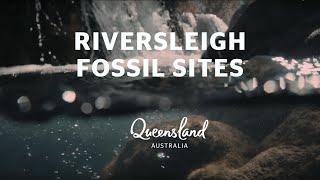 Riversleigh Fossil Sites | Queensland's 5 World Heritage Sites