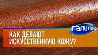 Галилео  Как делают искусственную кожу?