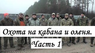 Охота на оленя и кабана: Часть 1.