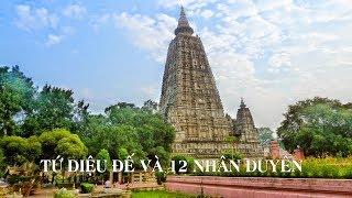 Tứ Diệu Đế Và 12 Nhân Duyên- Thích Bảo Nguyên