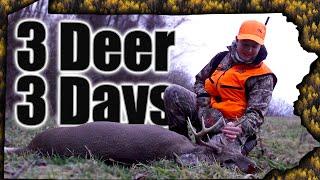 Pennsylvania Rifle Season 2022! 3 Deer in 3 Days Self-Filmed!